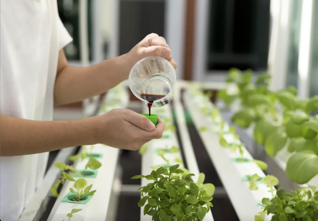 An image of liquid fertilizer being poured into a measuring cup. 

Measuring liquid fertilizer for a hydroponic system. Liquid Fertilizers are useful for most types of farming.